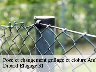 Pose et changement grillage et cloture  ambax-31230 Dibard Elagage 31