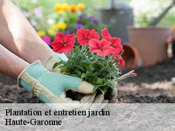 plantation-et-entretien-jardin