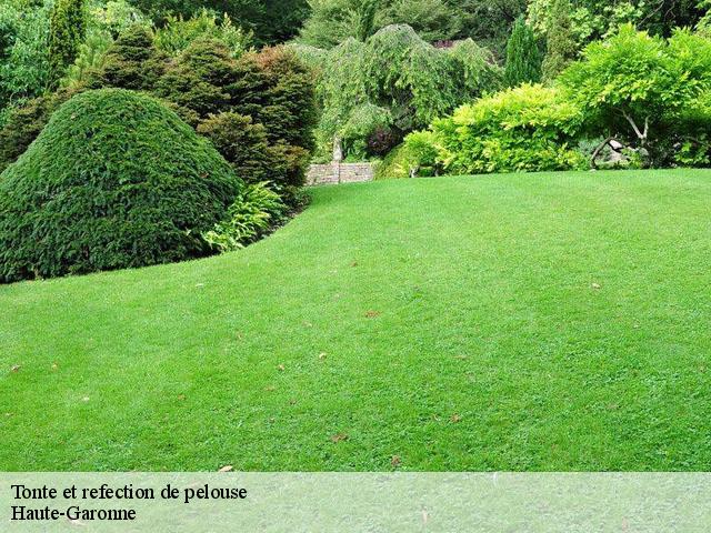 Tonte et refection de pelouse Haute-Garonne 