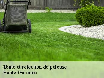 tonte-et-refection-de-pelouse