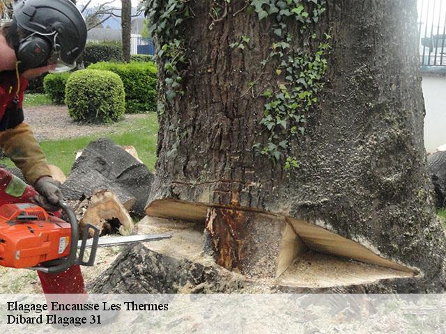 Elagage encausse-les-thermes-31160 Dibard Elagage 31