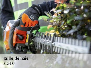 taille-de-haie