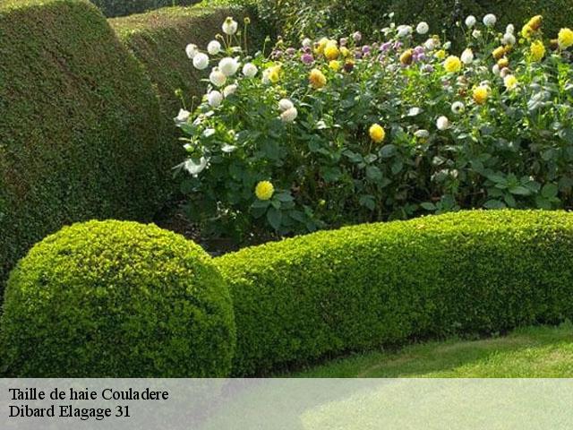 Taille de haie couladere-31220 Dibard Elagage 31