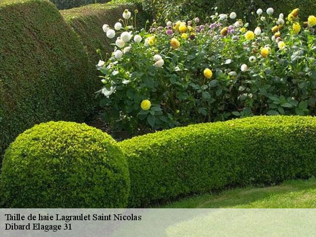 Taille de haie lagraulet-saint-nicolas-31480 Dibard Elagage 31