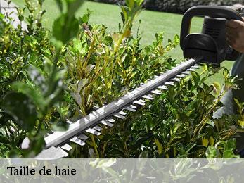 taille-de-haie