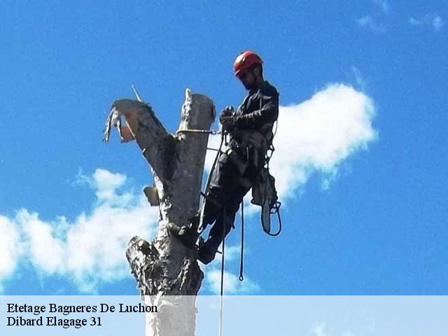 Etetage  bagneres-de-luchon-31110 Dibard Elagage 31