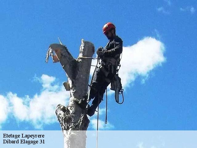 Etetage lapeyrere-31310 Dibard Elagage 31