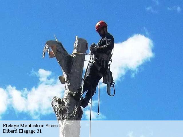 Etetage montastruc-saves-31370 Dibard Elagage 31
