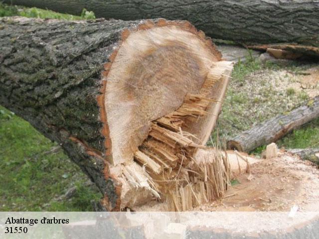 Abattage d'arbres  31550