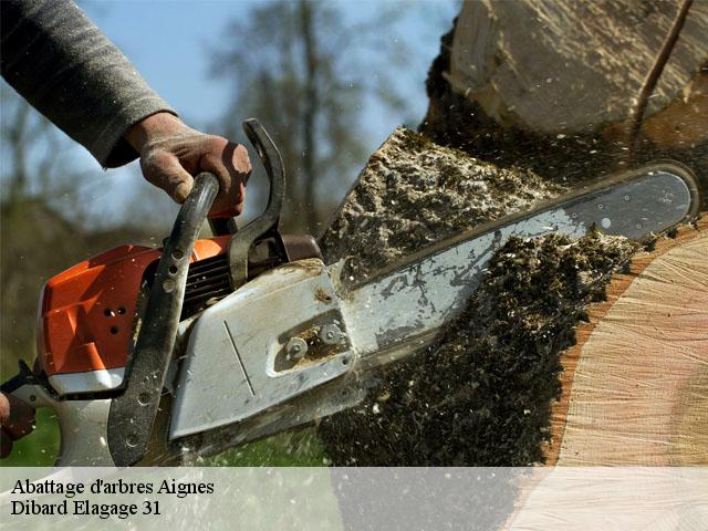 Abattage d'arbres  aignes-31550 Dibard Elagage 31