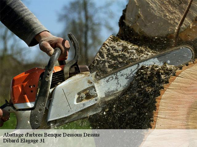 Abattage d'arbres  benque-dessous-dessus-31110 Dibard Elagage 31