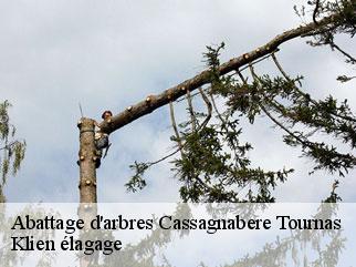 abattage-d-arbres