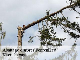 abattage-d-arbres