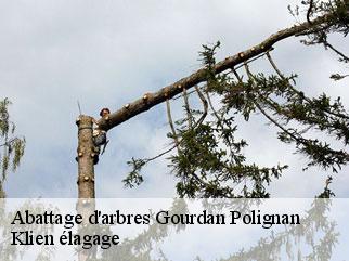 abattage-d-arbres