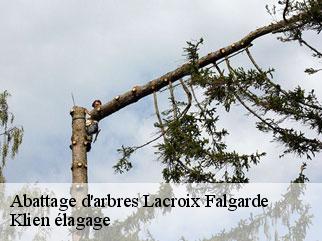 abattage-d-arbres