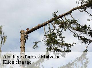 abattage-d-arbres