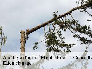 abattage-d-arbres