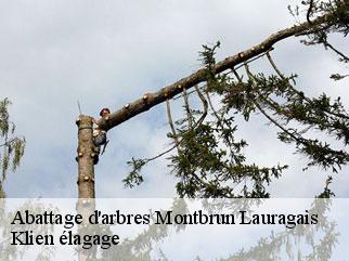 abattage-d-arbres