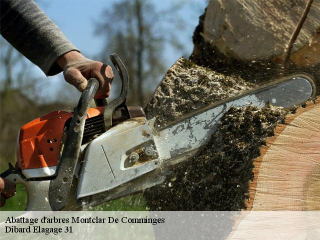 Abattage d'arbres  montclar-de-comminges-31220 Dibard Elagage 31