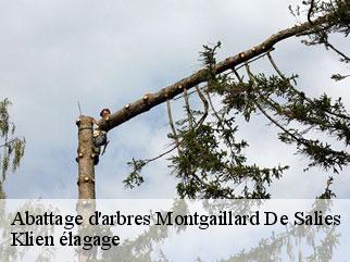 abattage-d-arbres