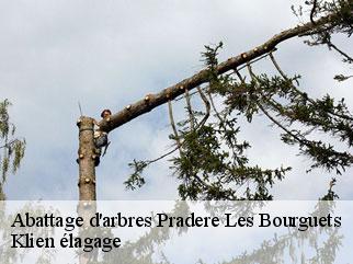 abattage-d-arbres