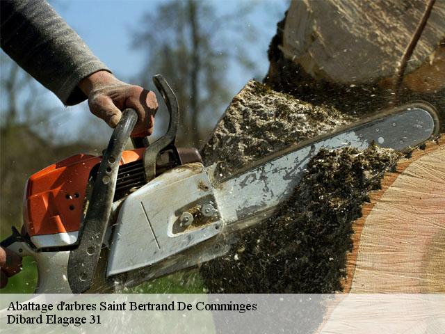 Abattage d'arbres saint-bertrand-de-comminges-31510 Dibard Elagage 31