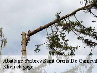 abattage-d-arbres