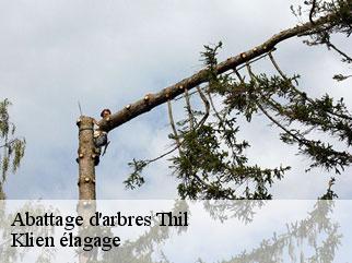 abattage-d-arbres