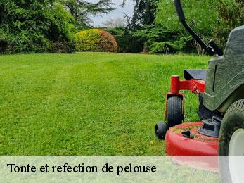 tonte-et-refection-de-pelouse