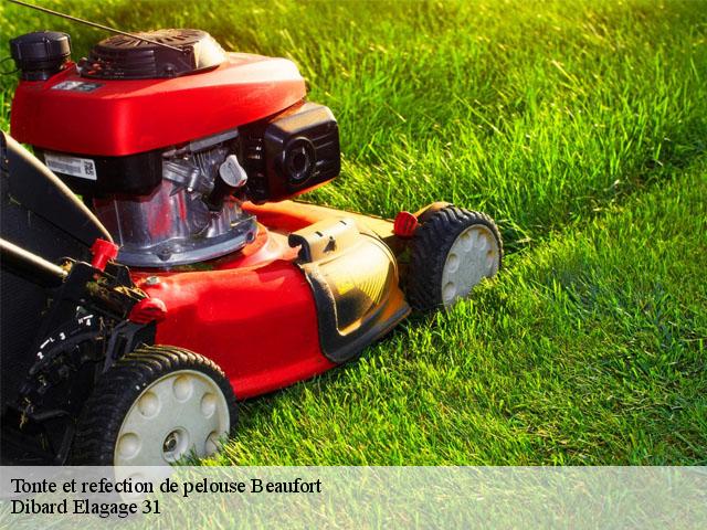 Tonte et refection de pelouse  beaufort-31370 Dibard Elagage 31