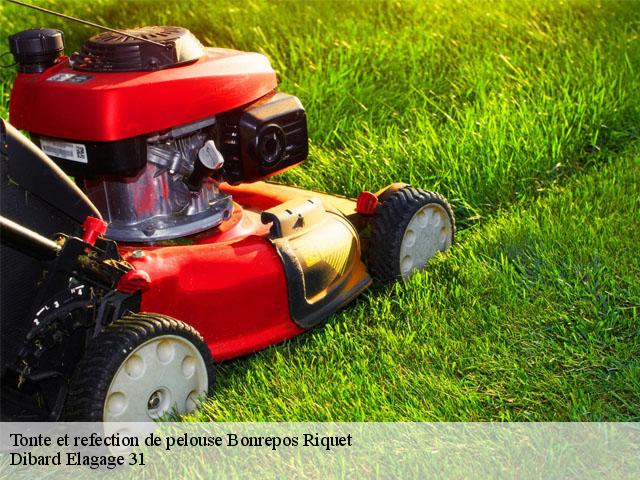 Tonte et refection de pelouse  bonrepos-riquet-31590 Dibard Elagage 31