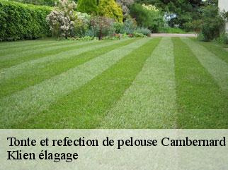 tonte-et-refection-de-pelouse