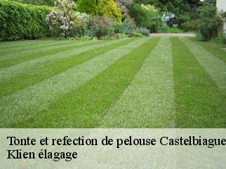 tonte-et-refection-de-pelouse