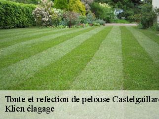 tonte-et-refection-de-pelouse