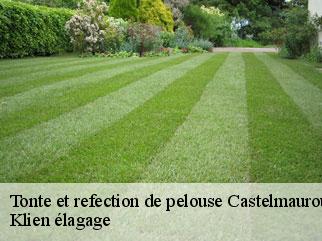 tonte-et-refection-de-pelouse
