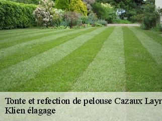 tonte-et-refection-de-pelouse