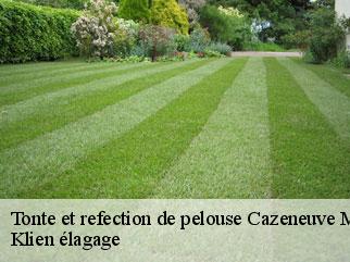 tonte-et-refection-de-pelouse