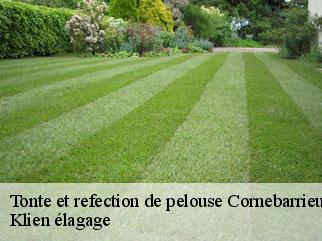 tonte-et-refection-de-pelouse