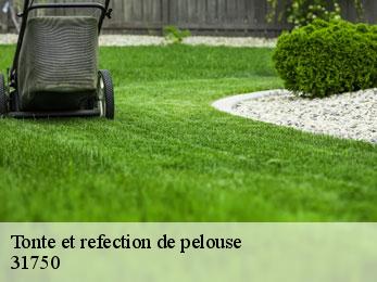 tonte-et-refection-de-pelouse
