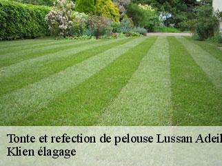 tonte-et-refection-de-pelouse