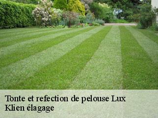 tonte-et-refection-de-pelouse