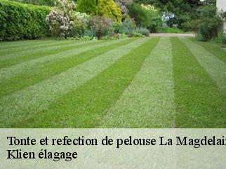 tonte-et-refection-de-pelouse