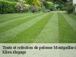 tonte-et-refection-de-pelouse