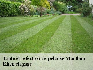tonte-et-refection-de-pelouse