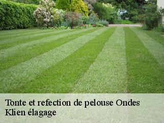 tonte-et-refection-de-pelouse