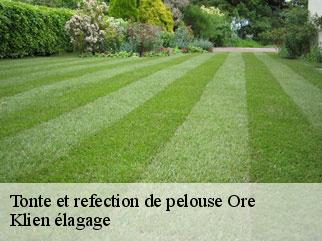 tonte-et-refection-de-pelouse