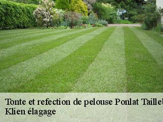 tonte-et-refection-de-pelouse