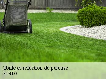 tonte-et-refection-de-pelouse