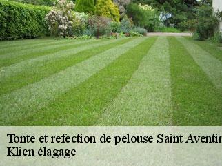 tonte-et-refection-de-pelouse