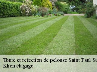 tonte-et-refection-de-pelouse
